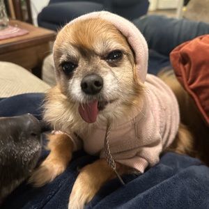 Meet your Posher, Darryl